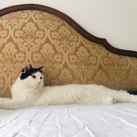B&B Haus Senter Trambileno エクステリア 写真