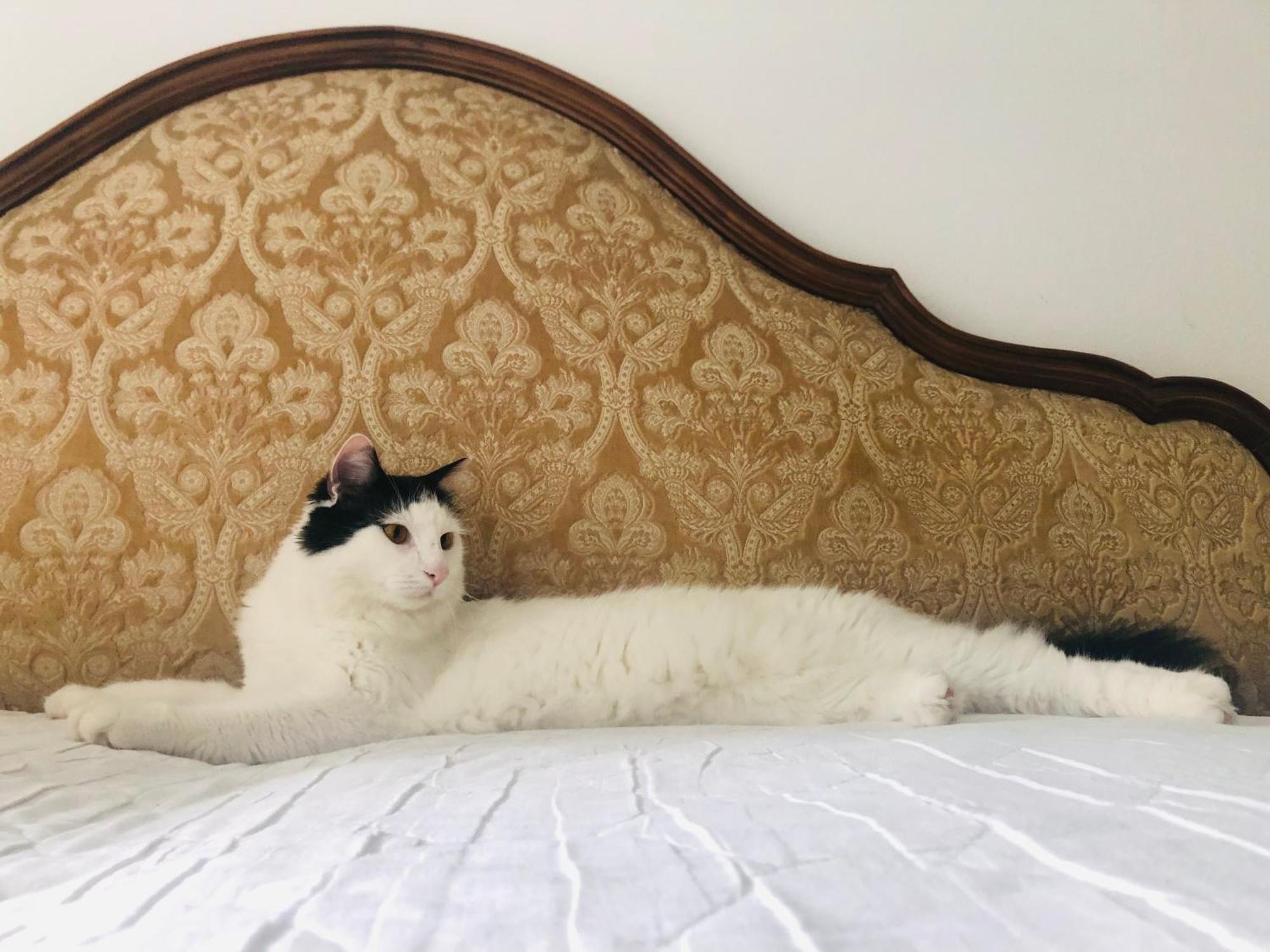 B&B Haus Senter Trambileno エクステリア 写真